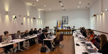 Aprobadas por el Pleno del Ayuntamiento de Guadalajara las nuevas ordenanzas de movilidad y de estacionamiento limitado