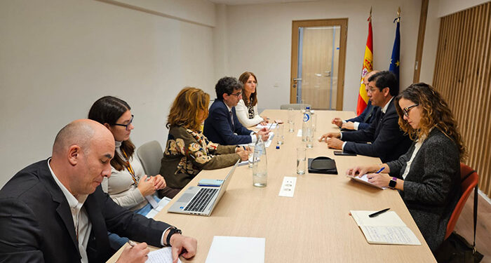 Castilla-La Mancha pide en Europa más flexibilidad para la agricultura y legislación y ayudas para los territorios productores de energía limpia