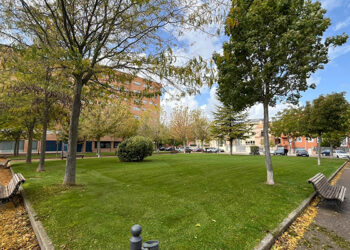 El Ayuntamiento de Cuenca instalará zonas caninas en los parques de Siglo XXI, Los Moralejos y Los Príncipes