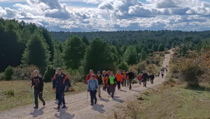 El Circuito de Senderismo de la Diputación de Cuenca inaugura el nuevo y atractivo recorrido del sendero PR-CU 90 “Hoz del Alonjero y puntal del Castillo de los Siete Condes”
