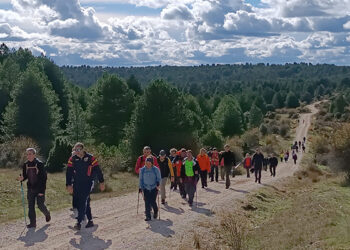 El Circuito de Senderismo de la Diputación de Cuenca inaugura el nuevo y atractivo recorrido del sendero PR-CU 90 “Hoz del Alonjero y puntal del Castillo de los Siete Condes”