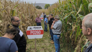 El Día de Campo en la zona del Bornova evidencia que será un buen año de maíz