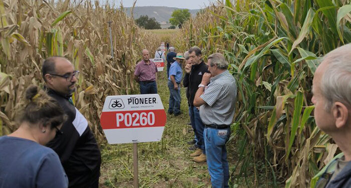 El Día de Campo en la zona del Bornova evidencia que será un buen año de maíz