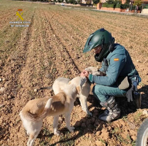El Seprona detiene a una persona en Romancos por capturar y apalear hasta la muerte a un perro