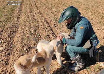 El Seprona detiene a una persona en Romancos por capturar y apalear hasta la muerte a un perro