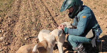 El Seprona detiene a una persona en Romancos por capturar y apalear hasta la muerte a un perro