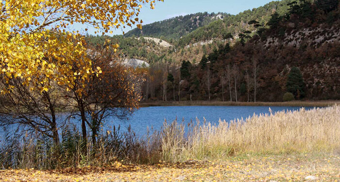 Este sábado arranca en Uña la edición de otoño del programa de educación ambiental ‘Vive tu espacio’ 1 Este sábado arranca en Uña la edición de otoño del programa de educación ambiental ‘Vive tu espacio’