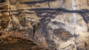 La Cueva de los Casares y el Museo provincial de Guadalajara acogen los actos principales de conmemoración del Día Europeo del Arte Rupestre