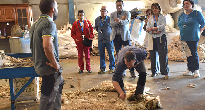La Diputación de Cuenca ayuda a la empresa moteña Wooldreamers para convertir los residuos de la lana en abono 1 La Diputación de Cuenca ayuda a la empresa moteña Wooldreamers para convertir los residuos de la lana en abono