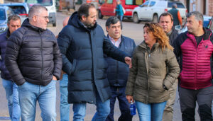 Nuñez avanza una iniciativa parlamentaria para reclamar soluciones ante los problemas que el lobo está causando en la Sierra Norte de Guadalajara