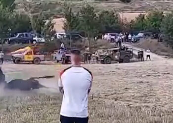 PACMA condena el brutal atropello con todoterreno que mató a un toro durante un encierro en Tendilla