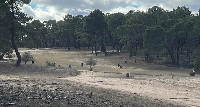 Veredianos por España