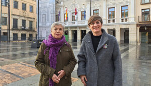 Aike “El 25N no es una fecha para celebraciones festivas”