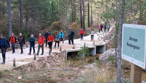 Beamud, y el otoño serrano, escenario perfecto para finalizar las pruebas puntuables del I Circuito de Senderismo Diputación de Cuenca