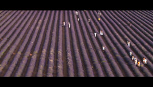 Brihuega, esta semana en 'Beatus Ille'