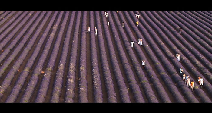 Brihuega, esta semana en 'Beatus Ille' 1 Brihuega, esta semana en 'Beatus Ille'