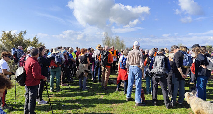 Campiñeando reúne a más de 150 senderistas en Matarrubia 1 Campiñeando reúne a más de 150 senderistas en Matarrubia