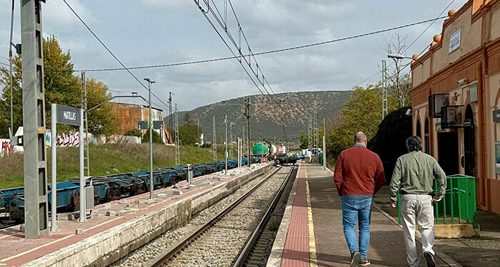 Castillo avanza que pedirán al Ministerio de Transporte un informe que explique el motivo del descarrilamiento de un tren en Matillas