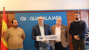 Castillo censura las artimañas del PSOE provincial para conseguir sillones a toda costa y dice que “están enfermos de poder”