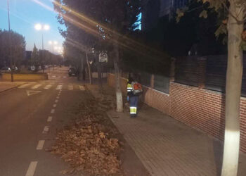 Comienza la temporada de refuerzo en el Servicio de Limpieza de Cabanillas, para la recogida de hojas Comienza la temporada de refuerzo en el Servicio de Limpieza de Cabanillas, para la recogida de hojas