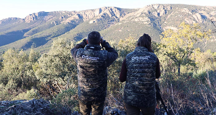 Comienza una nueva campaña de censos de aves migratorias invernantes en el Observatorio Cinegético