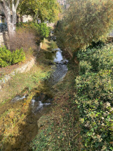 El Ayuntamiento de Cuenca desbroza el cauce del río Huécar
