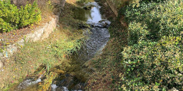 El Ayuntamiento de Cuenca desbroza el cauce del río Huécar