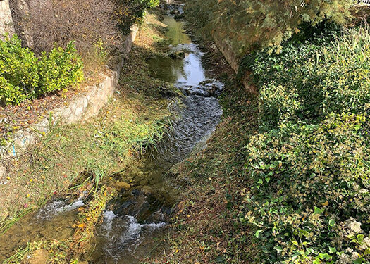 El Ayuntamiento de Cuenca desbroza el cauce del río Huécar 1 El Ayuntamiento de Cuenca desbroza el cauce del río Huécar