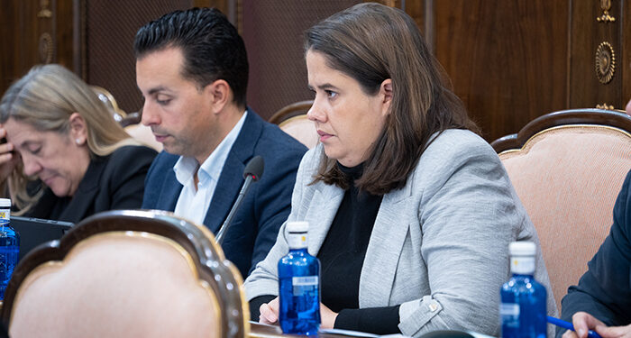 El Plan Informático de la Diputación de Guadalajara dota en 2024 de mayor seguridad a los equipos y redes de 184 municipios