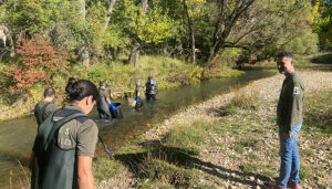 El estudio del censo de la trucha común en las cuencas de la provincia de Cuenca indica un descenso de los tipos más jóvenes