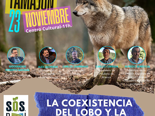 El lobo, a debate en Tamajón en una conferencia sobre su coexistencia con la ganadería organizada por SOS Rural