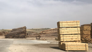 Este martes se abre la convocatoria del Ayuntamiento de Cuenca para la concesión de leña para hogares en riesgo de exclusión social