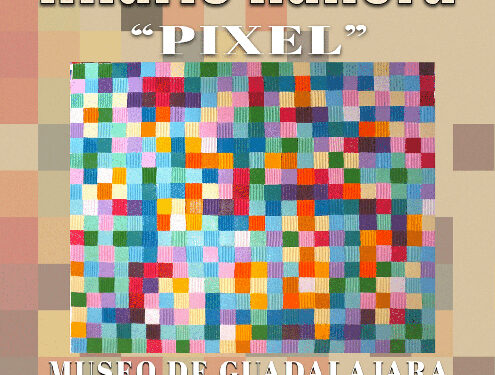 Hilario Ranera expone su muestra ´Pixel´ en el Museo provincial de Guadalajara