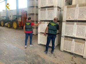 La Guardia Civil investiga a cuatro personas en la Mancha conquense por estafa en la venta de ajos