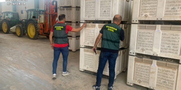 La Guardia Civil investiga a cuatro personas en la Mancha conquense por estafa en la venta de ajos
