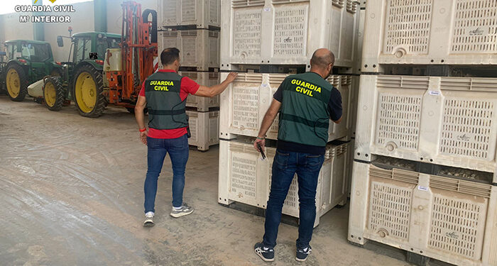 La Guardia Civil investiga a cuatro personas en la Mancha conquense por estafa en la venta de ajos