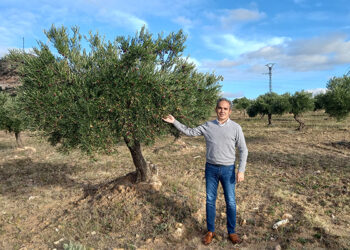 La Junta abona 22,5 millones de euros a los agricultores conquenses por el anticipo de ecorregímenes de la PAC y las ayudas asociadas a la superficie
