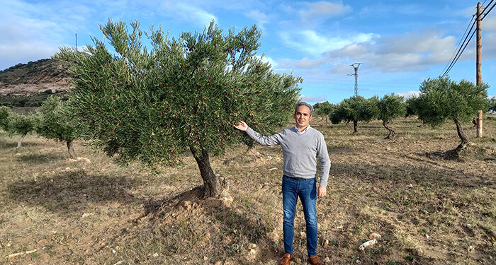 La Junta abona 22,5 millones de euros a los agricultores conquenses por el anticipo de ecorregímenes de la PAC y las ayudas asociadas a la superficie 1 La Junta abona 22,5 millones de euros a los agricultores conquenses por el anticipo de ecorregímenes de la PAC y las ayudas asociadas a la superficie