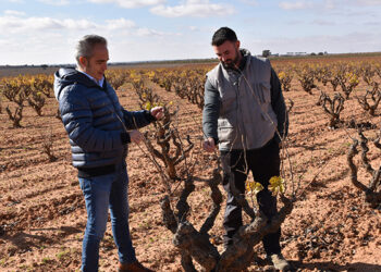 La Junta ha ayudado a cerca de 800 jóvenes agricultores de la provincia de Cuenca a incorporarse al campo desde 2015