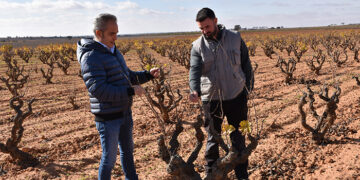 La Junta ha ayudado a cerca de 800 jóvenes agricultores de la provincia de Cuenca a incorporarse al campo desde 2015