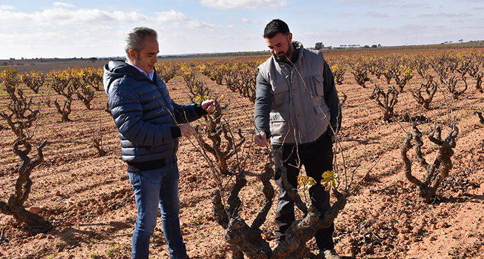 La Junta ha ayudado a cerca de 800 jóvenes agricultores de la provincia de Cuenca a incorporarse al campo desde 2015 1 La Junta ha ayudado a cerca de 800 jóvenes agricultores de la provincia de Cuenca a incorporarse al campo desde 2015
