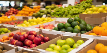 La Junta llevará este año los programas escolares de reparto de frutas y hortalizas a 553 centros educativos y el de leche a 363 centros