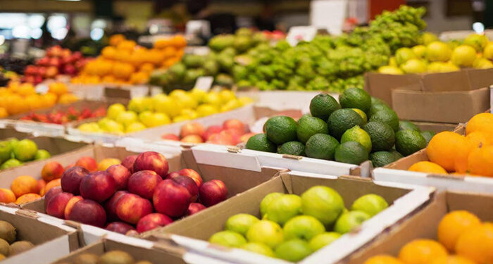 La Junta llevará este año los programas escolares de reparto de frutas y hortalizas a 553 centros educativos y el de leche a 363 centros 1 La Junta llevará este año los programas escolares de reparto de frutas y hortalizas a 553 centros educativos y el de leche a 363 centros