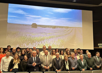 La Junta subraya la repercusión económica, social y cultural que ha tenido el cultivo y procesamiento de la lavanda para Guadalajara La Junta subraya la repercusión económica, social y cultural que ha tenido el cultivo y procesamiento de la lavanda para Guadalajara