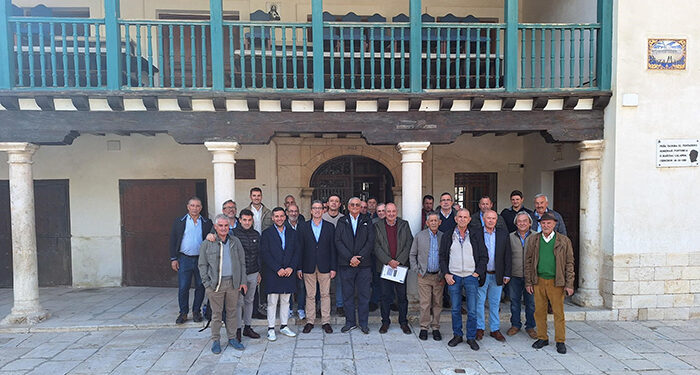 La Mesa Nacional del Ajo confirma, en lo últimos tres años, un descenso del -23% de superficie sembrada a nivel nacional