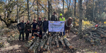 La Universidad de Alcalá desarrolla un proyecto piloto para una nueva forma de gestión de los bosques en la Sierra Norte de Guadalajara