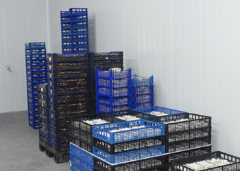Las exportaciones de los productos conquenses siguen resintiéndose en un año difícil