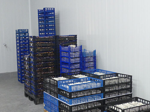 Las exportaciones de los productos conquenses siguen resintiéndose en un año difícil