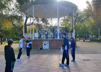 “Participa y cuenta. Alza tu voz y transforma el mundo” Maristas por la participación infantil