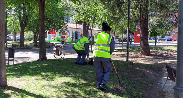 Finaliza la primera fase del Plan de Empleo 2024 en Azuqueca 1 Plan de Empleo